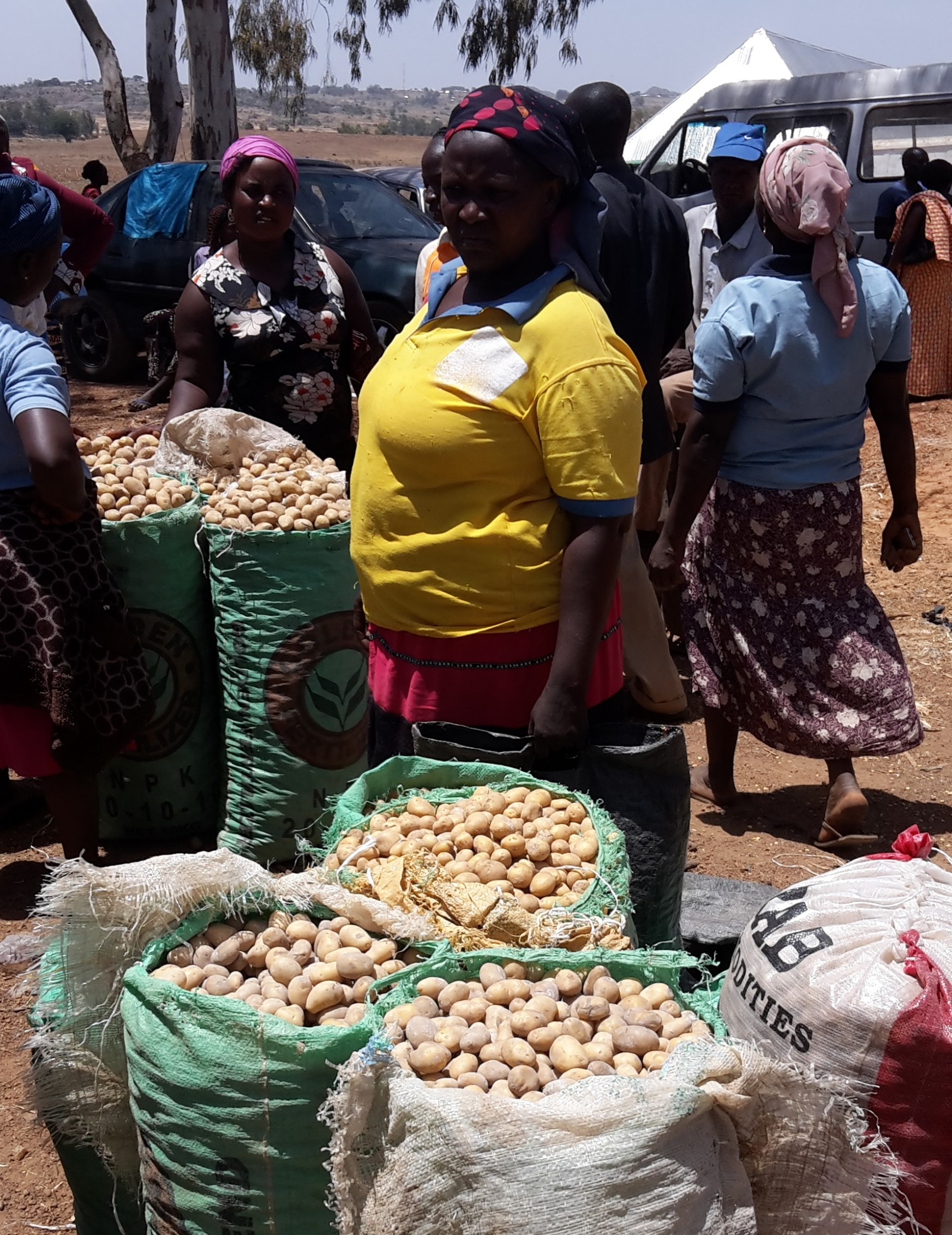 Aardappelproject KIT Nigeria