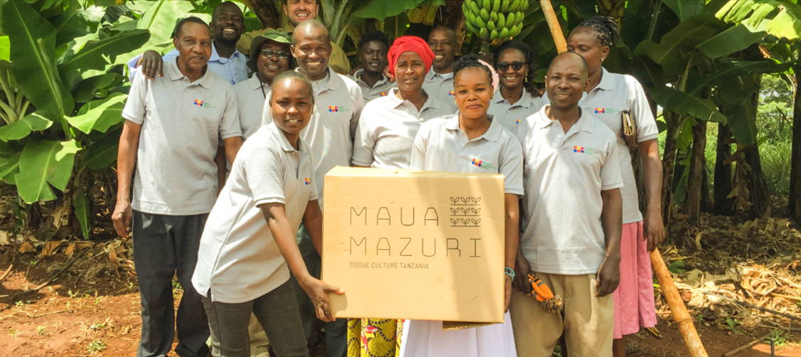 Impact Fund project Maua Mazuri Tanzania: Banana business in a box