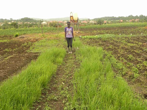 Uienproject Guinee 2023