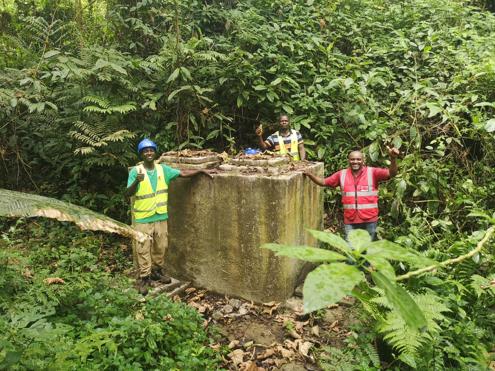 Humaniforest Kameroen