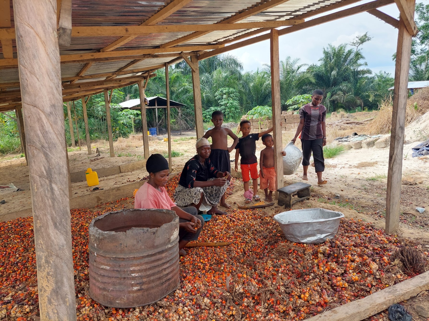 Palmolie Solidaridad Ghana