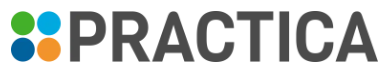 Logo Practica